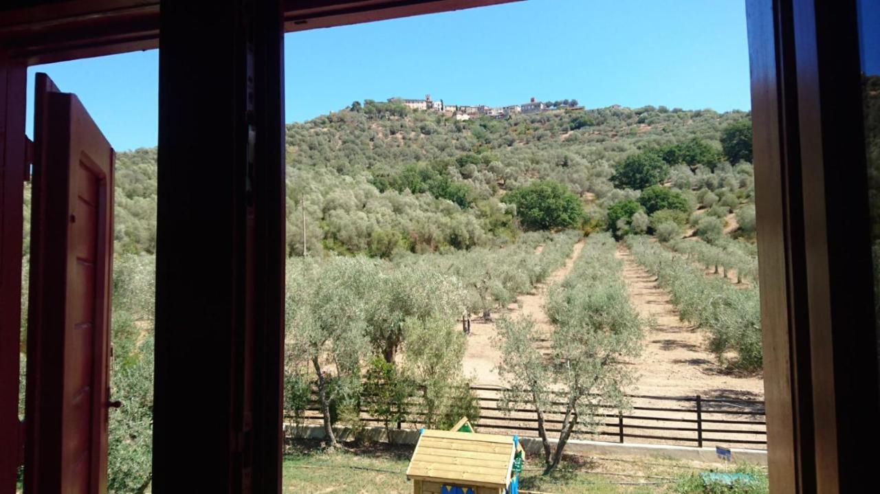 Il Barbagianni Bed & Breakfast Montepescali ภายนอก รูปภาพ