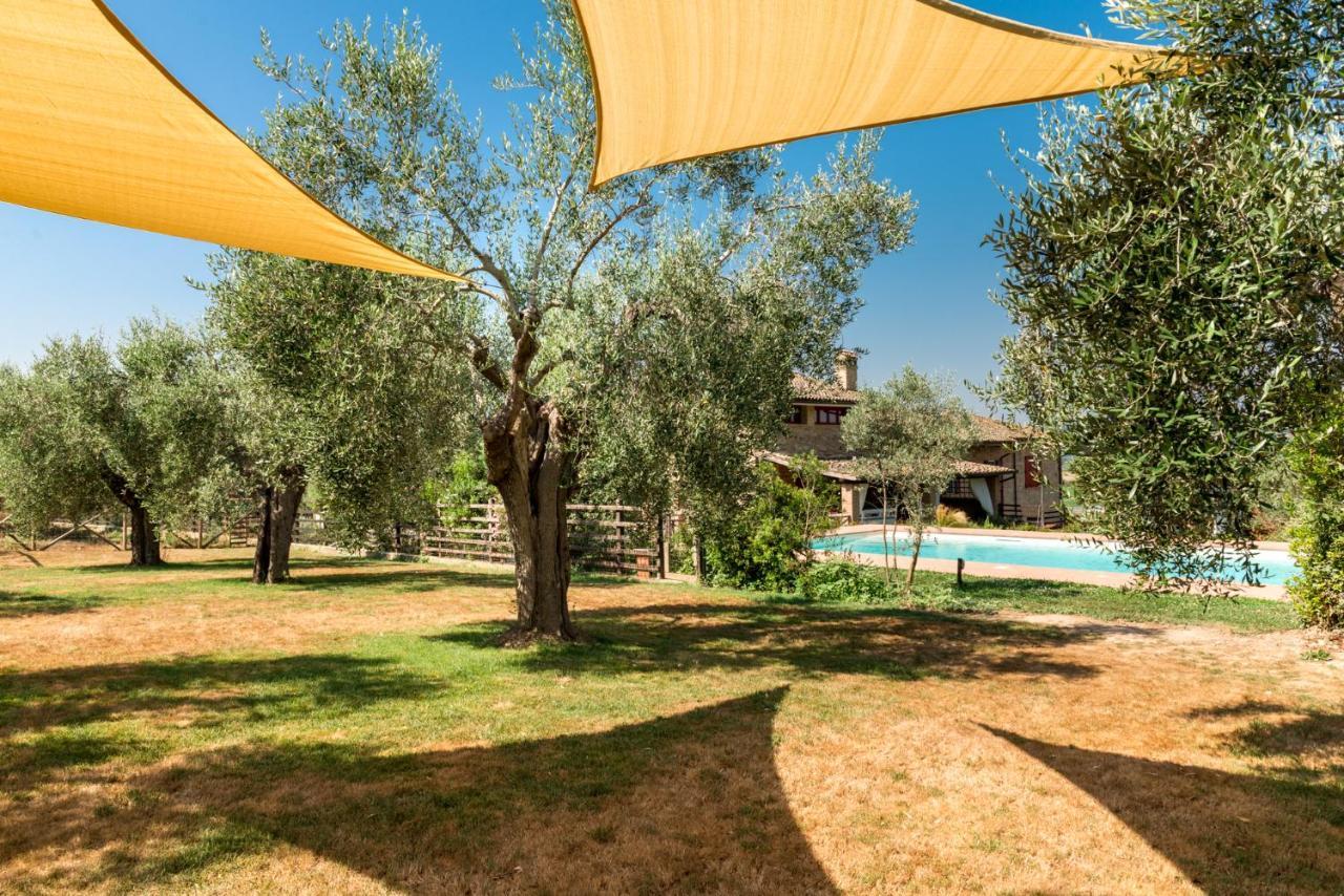 Il Barbagianni Bed & Breakfast Montepescali ภายนอก รูปภาพ
