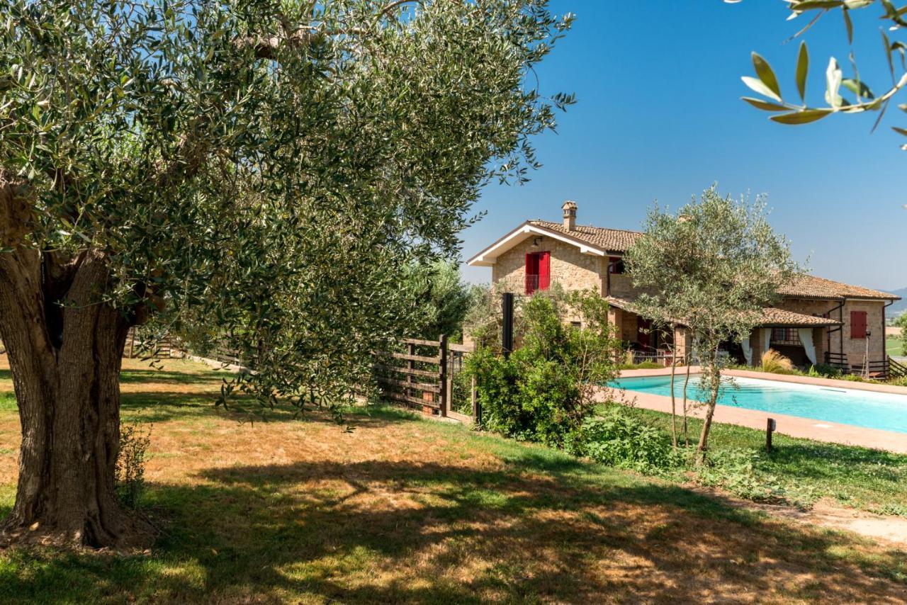 Il Barbagianni Bed & Breakfast Montepescali ภายนอก รูปภาพ