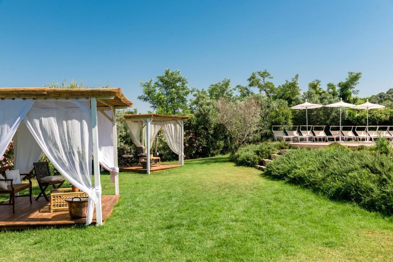 Il Barbagianni Bed & Breakfast Montepescali ภายนอก รูปภาพ